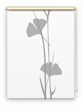 Rollo Ginkgo  grey-grey, Motivrollo, Rollo mit Druck, Fotorollo, bedrucktes Rollo, Fensterrollo,verdunkelndes Rollo, Sonnenschutz Rollo